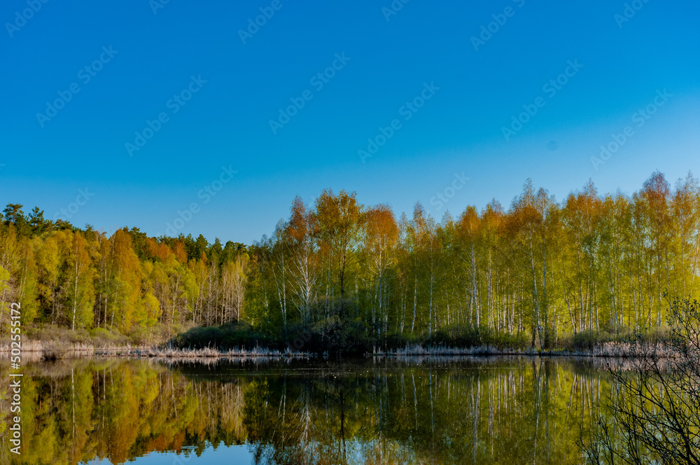 Forest and forest lakes in Samarskaya Luka National Park!