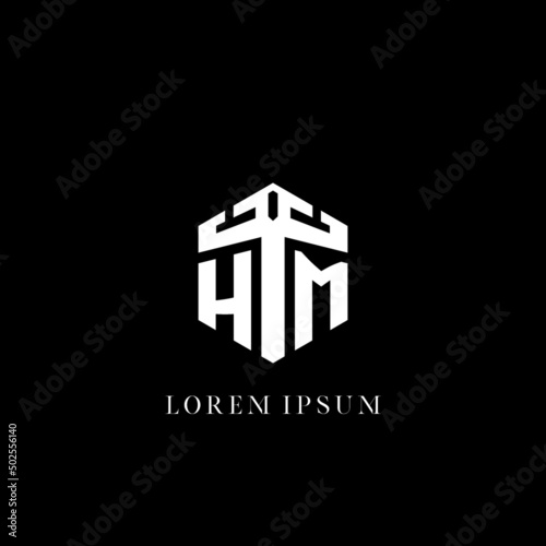 Initial letter HM hexagon shape logo geometric style