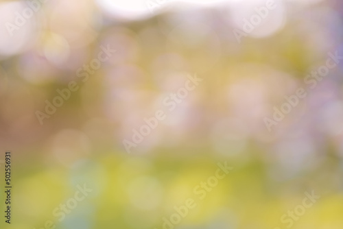 Abstract soft focus green nature in summer.