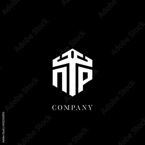 Initial letter NP hexagon shape logo geometric style