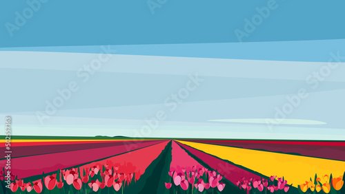 Field with different tulips. Beautiful nature landscape.