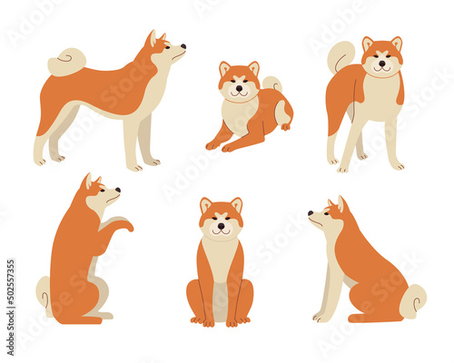 Cute comic shiba inu in different poses vector illustrations set. Dog cartoon character standing, sitting, symbol of 2018 isolated on white background. Pets or domestic animals, New Year concept