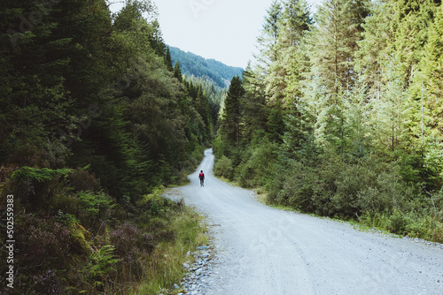 Walking in the Trossachs Scotland
