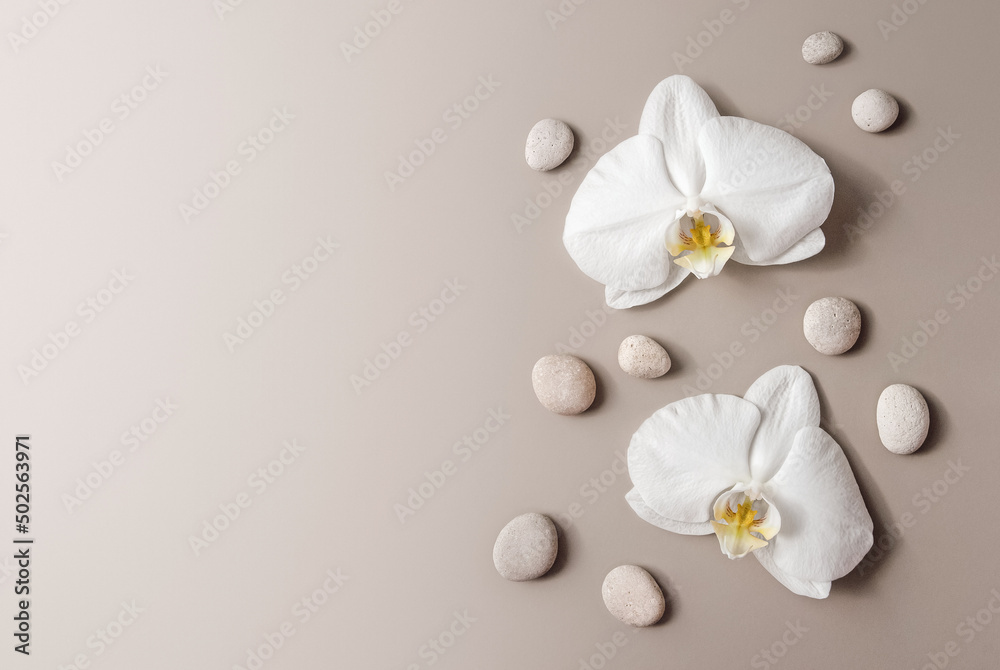 White orchids and pebble stones flat lay, floral beige background with copy space White orchids and pebble stones flat lay, floral beige background with copy space