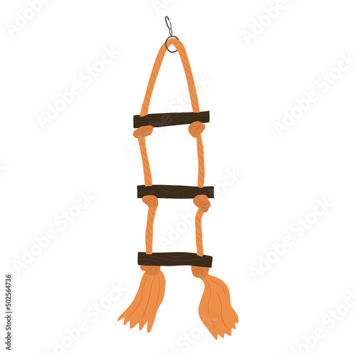 Parrots goods and supplies. Pets ladder. Birds accessories, stuff.  Flat vector illustration isolated on white background