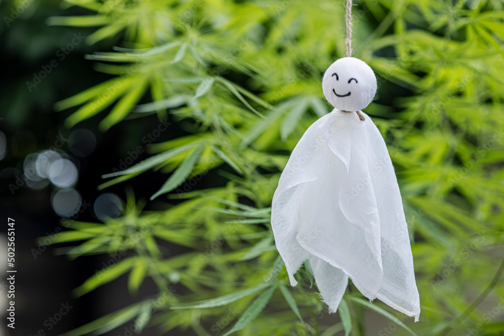 Smile Teru Teru Bozu on green nature background , Japanese rain doll  фотография Stock | Adobe Stock