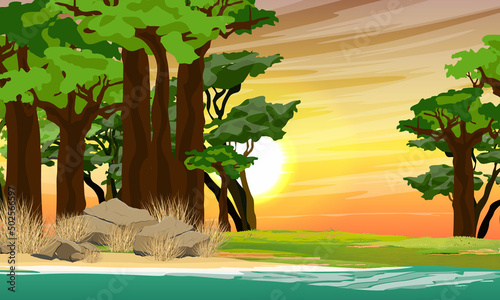 African savannah. Baobab grove on the shore of a pond at sunset. wildlife of africa. Realistic vector landscape