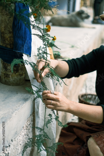 person holding a branch of tree