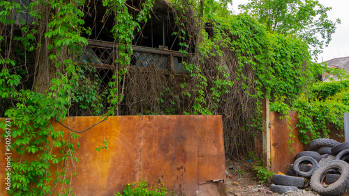 An old  abandoned building  nature beats its own.