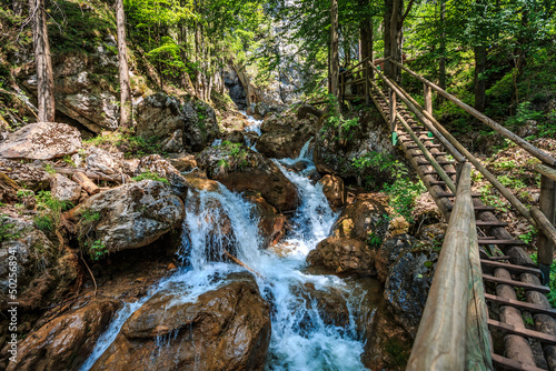 Bärenschützklamm im Frühling