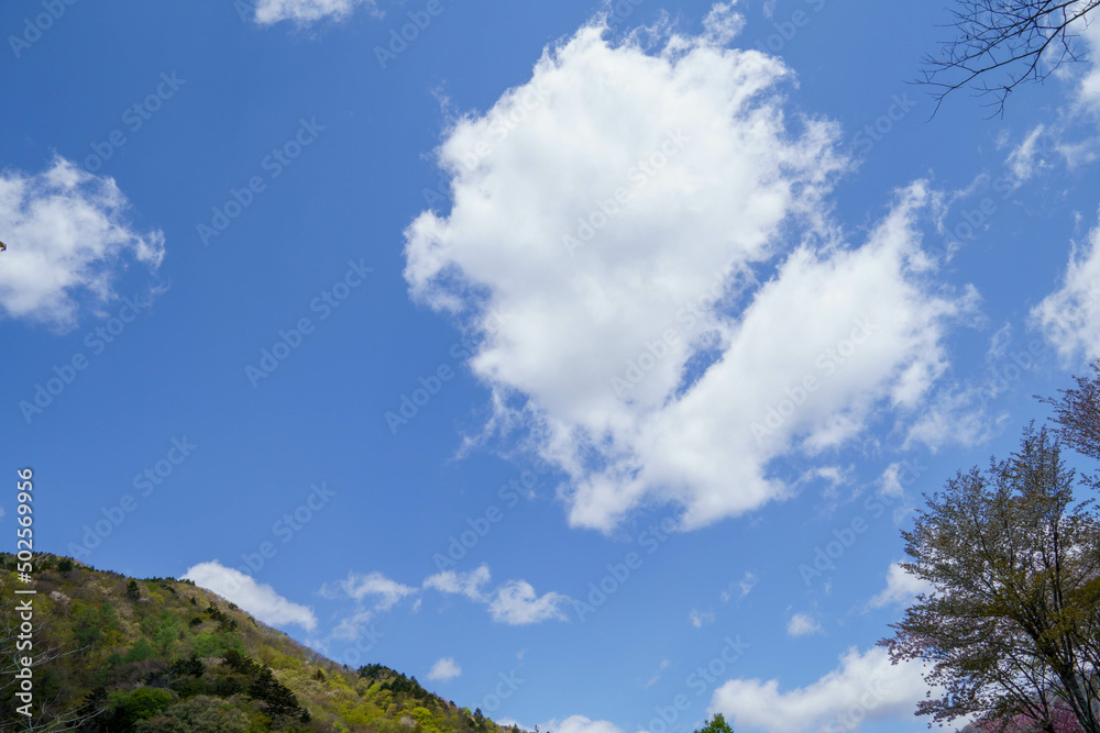 Obraz premium 初夏の青空に浮かぶ白い雲