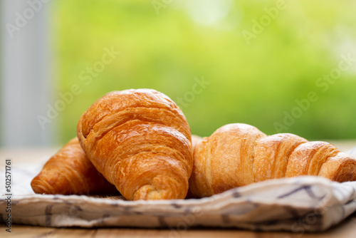 Two croissants are on plate. Croissant is a buttery  flaky  French  pastry. This bread uses the French yeast-leavened laminated dough. Crispy and yummy.