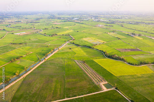 Aerial view of Green rice paddy field, farming cultivation in agricultural land at countryside
