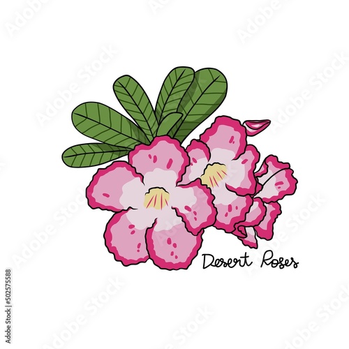 Desert Roses flower vector illustration