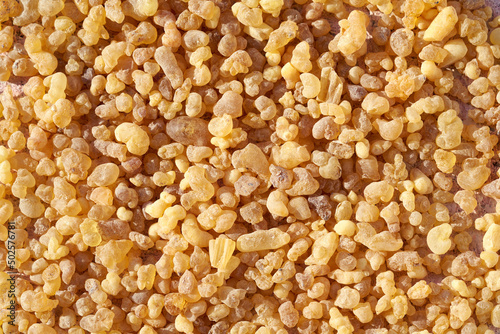 Background made of yellow frankincense resin crystals - copy space