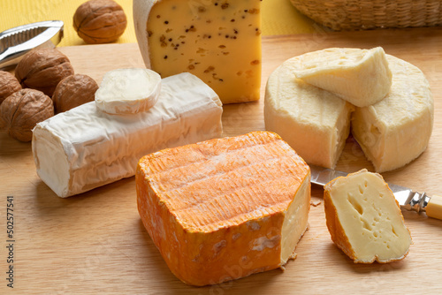 Cheese platter with French and Belgian cheese on a cutting board close up   photo