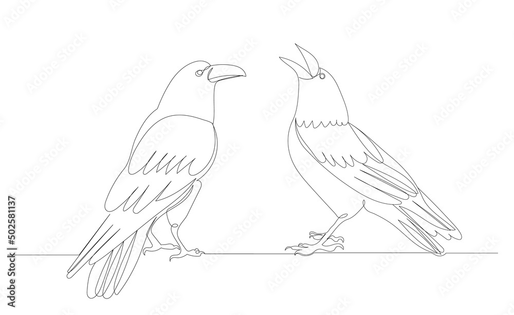 Fototapeta premium crows drawing in one continuous line, isolated, vector