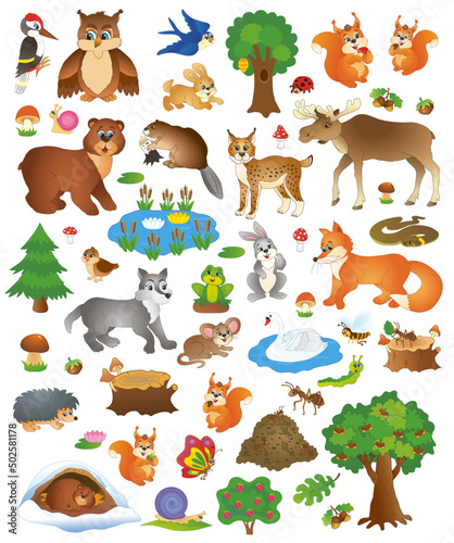 A big collection of funny forest animals, insects, birds. vector illustration