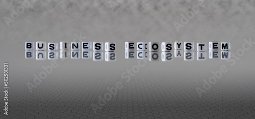 business ecosystem word or concept represented by black and white letter cubes on a grey horizon background stretching to infinity