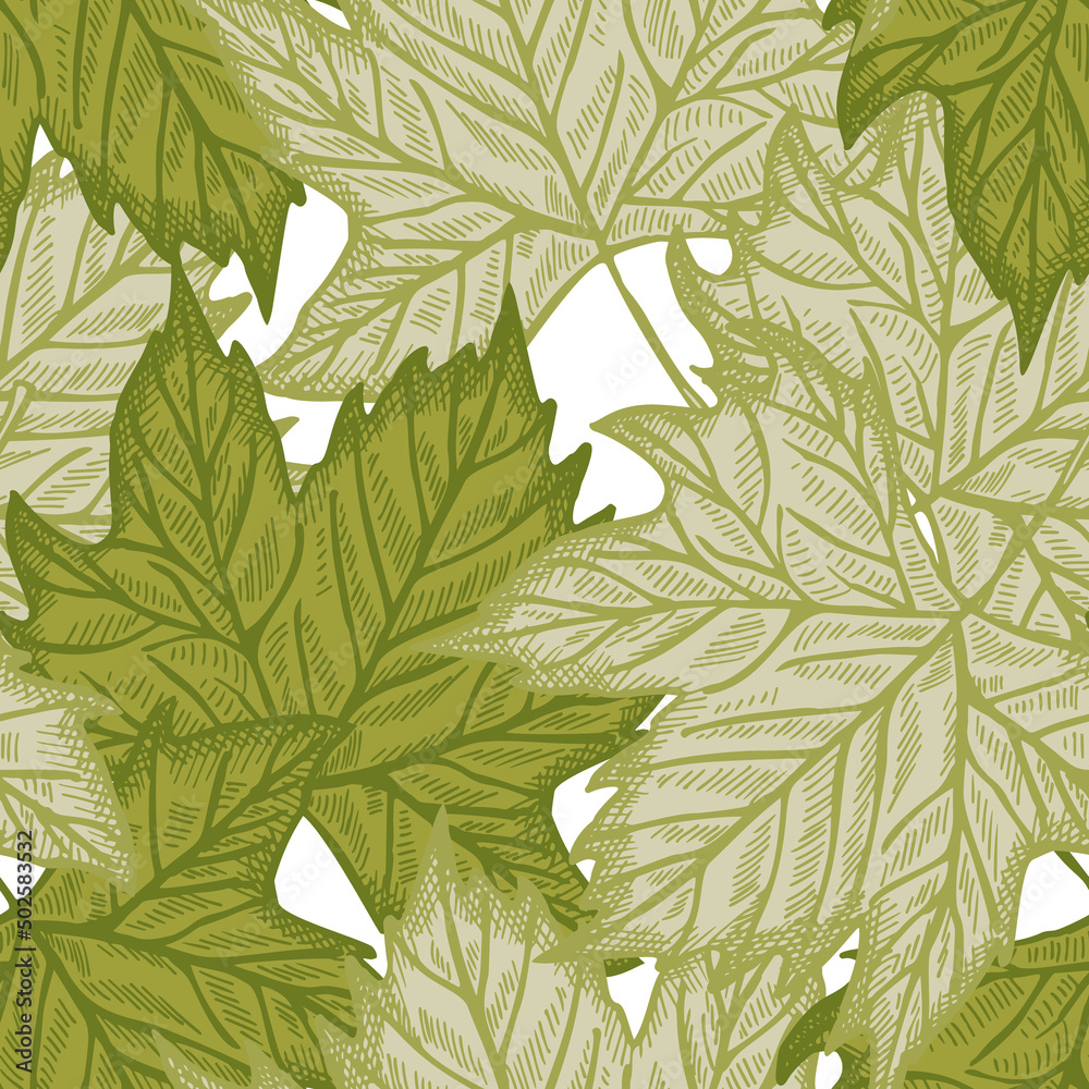 Leaves maple engraved seamless pattern. Green background summer botanical with canadian foliage in hand drawn style.