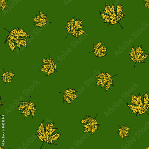 Leaves maple canadian engraved seamless pattern. Vintage background botanical with foliage in hand drawn style.