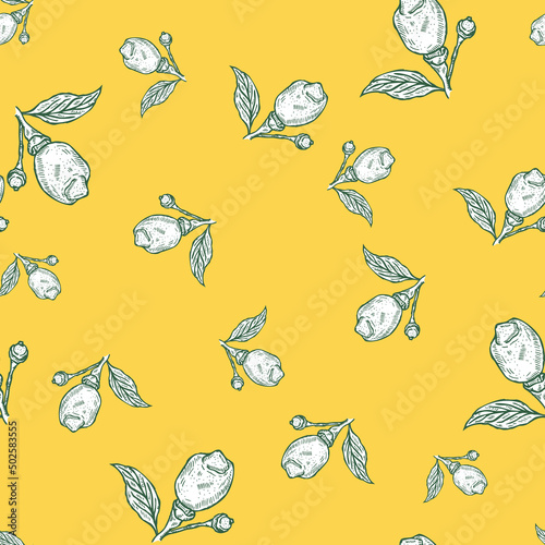 Seamless pattern engraved lemon on branch with leaves. Vintage background lime growing on twig in hand drawn style.