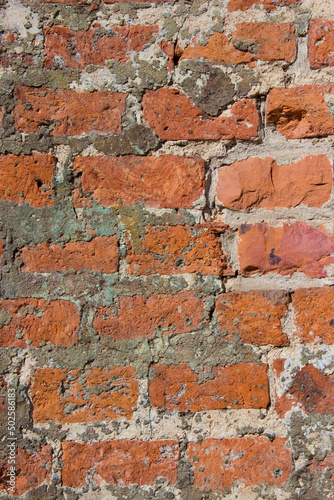 red brick wall, texture and background