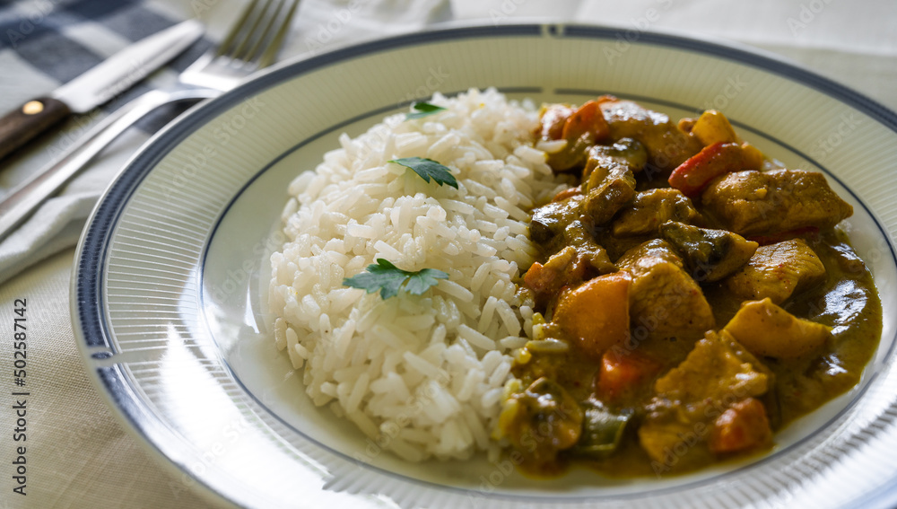 Detail of a curry and rice dish