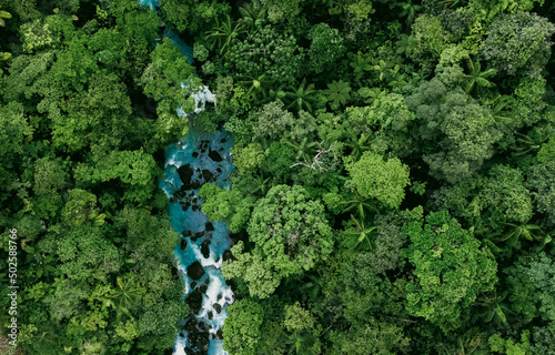 Aerial view of the forest with a blue river in Costa Rica (Rio Celeste, La Fortuna)
