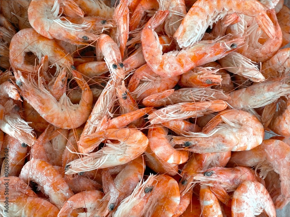 Frozen prawns background. Frozen prawns background.