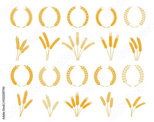 Laurel wreath, spikes of wheat, rye, barley cereal ears, vector, rice millet icons. Bread bakery yellow wheat stalks in heraldic laurel wreath for wheat grain food and farm agriculture