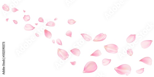 Sakura flying petals, romantic background with realistic pink cherry flower petals flow or falling motion. Love, romance, floral spring season or wedding invitation with rose pastel colors