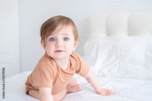 Fotografi portrait of cute baby girl 10 months with blue eyes in brown bodysuit on white b