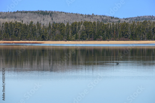 In spring, beautiful lake in the Canadian forest in the province of Quebec