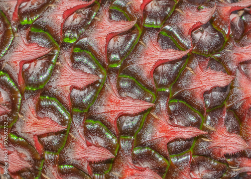 close up of pineapple skin texture, abstract texture background
