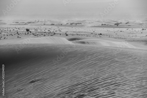 Black and white view of the sand dunes near the town of Fiambal   on a windy afternoon  Catamarca Province  Argentina