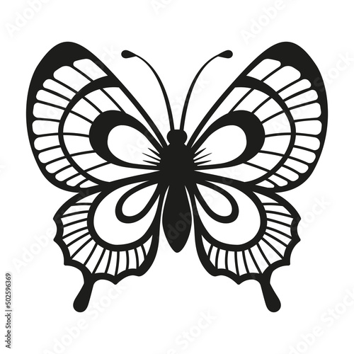 Vector silhouette elegant butterfly isolated on white background