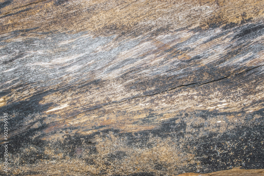 wood texture background, abstract texture background wood texture background, abstract texture background