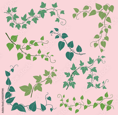 Simplicity ivy freehand drawing flat design collection.