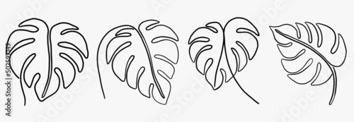 Simplicity monstera leaf freehand continuous line drawing flat design.