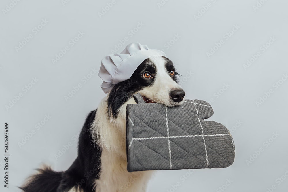 Dog Chefs Oven Mitt