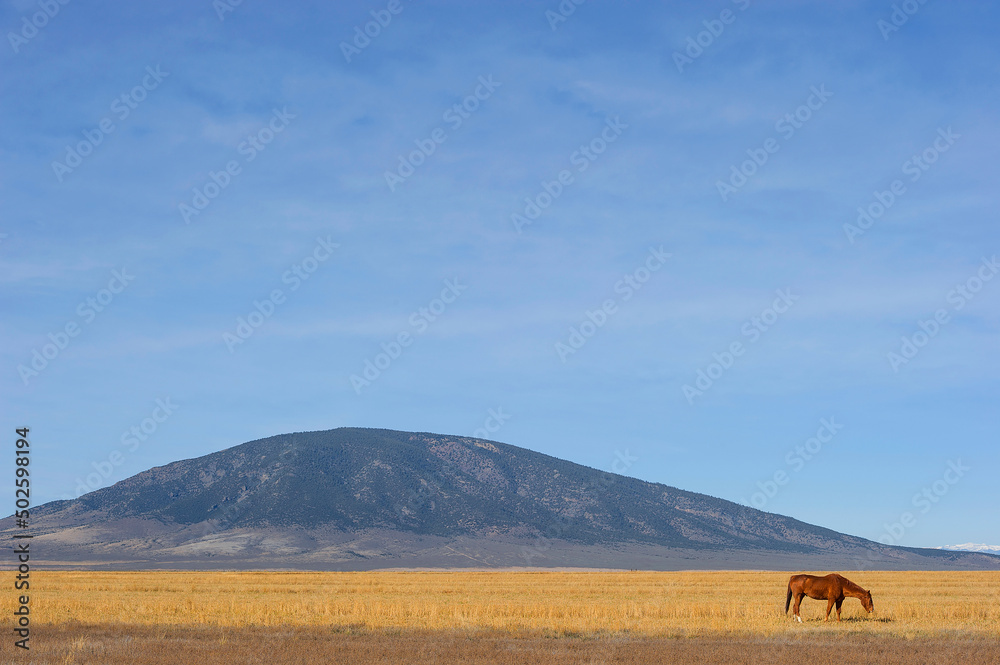 Obraz premium Ute Mountain