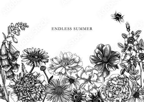 Hand-sketched flower illustrations collection. Vintage summer florals drawing set. Detailed and elegant garden plant on chalkboard. Botanical elements in engraved style.