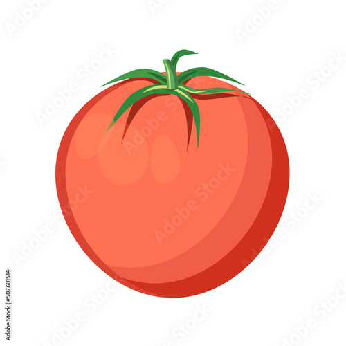 Ripe  juicy tomato on a white background.Vector illustration of a vegetable.It can be used for packaging of the food industry textiles
