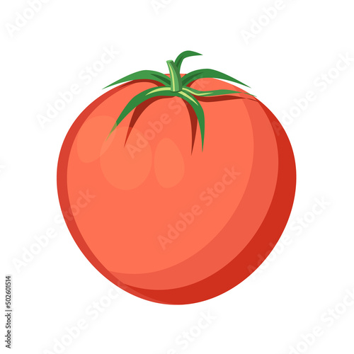 Ripe, juicy tomato on a white background.Vector illustration of a vegetable.It can be used for packaging of the food industry,textiles