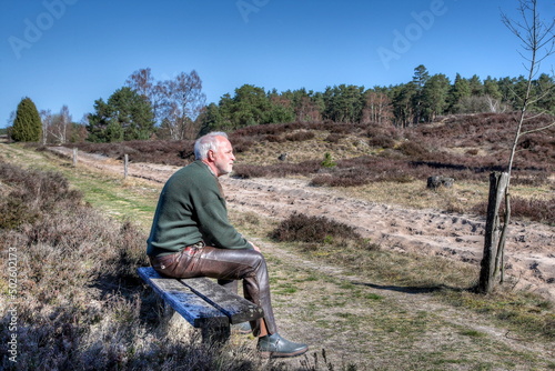 On a sunny spring day, a lonely hiker sits on a wooden bench in the Lüneburg Heath and enjoys the peace and quiet that prevails in the heath at this season. photo