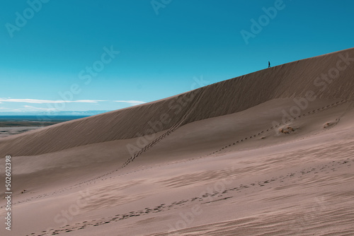 Fototapeta Naklejka Na Ścianę i Meble -  sand dunes in the desert