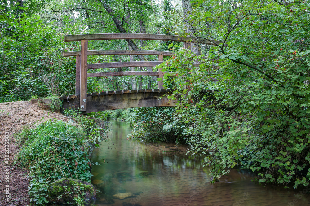 Wooden bridge over the brook Schmale Aue.
The Wooden bridge over the brook Schmale Aue.
The
