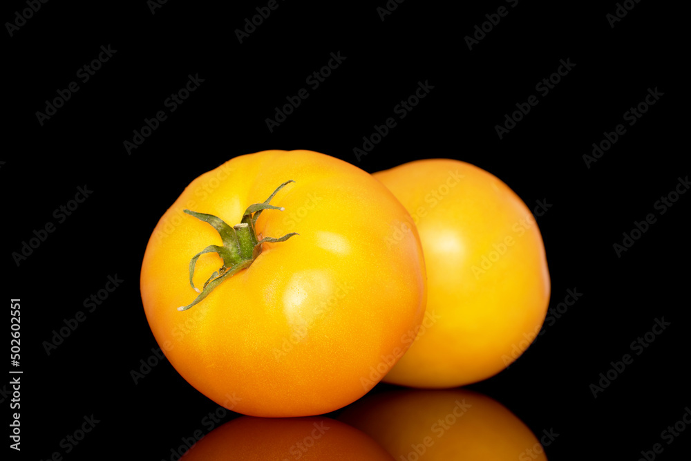Two yellow juicy tomatoes, macro, isolated on a black background. Two yellow juicy tomatoes, macro, isolated on a black background.