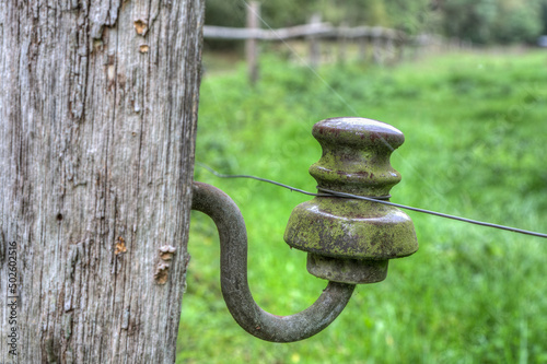 Old, ceramic insulator at a electric willow fence. photo